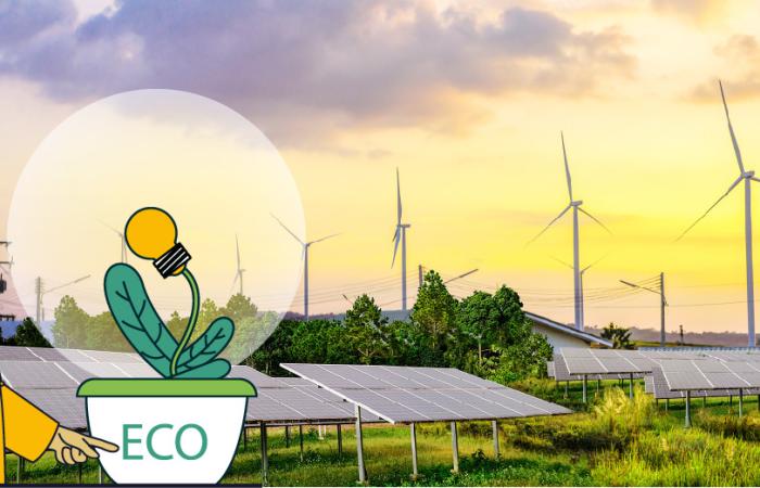 illustration of women pointing to the words ECO on a pot with a plant growing out of it. background shows wind turbines and solar panels