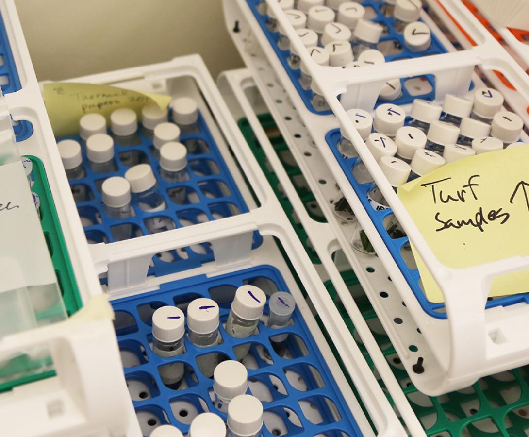 test tubes in the Healthy Stuff Lab