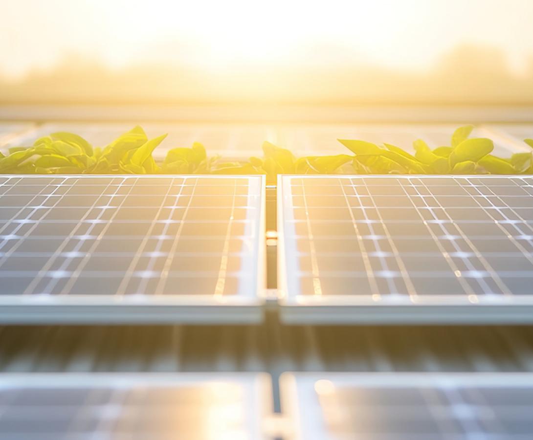 Clean Energy Revolution
