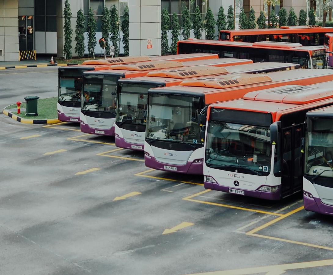 buses in lot cropped