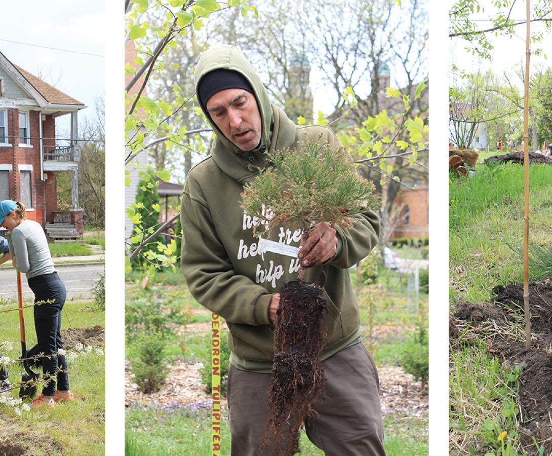 Clear the Air Tree Planting 2025 header
