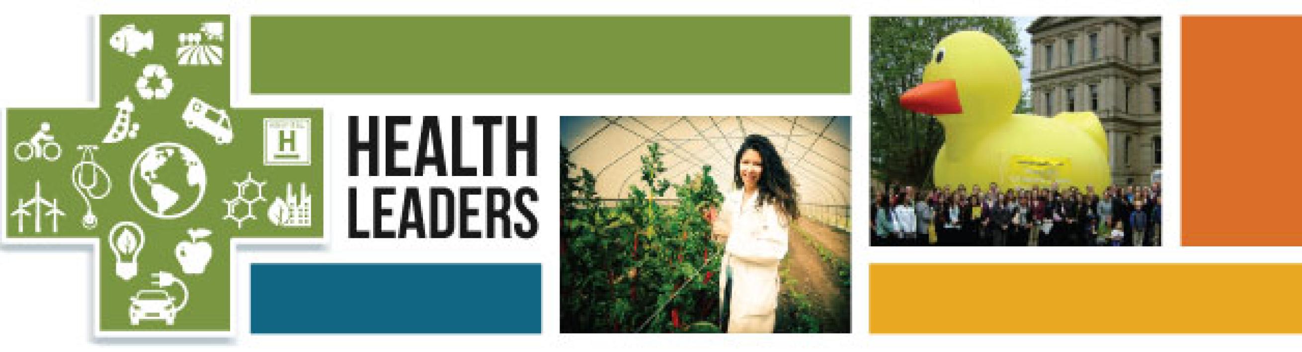 Health Leaders Fellowship