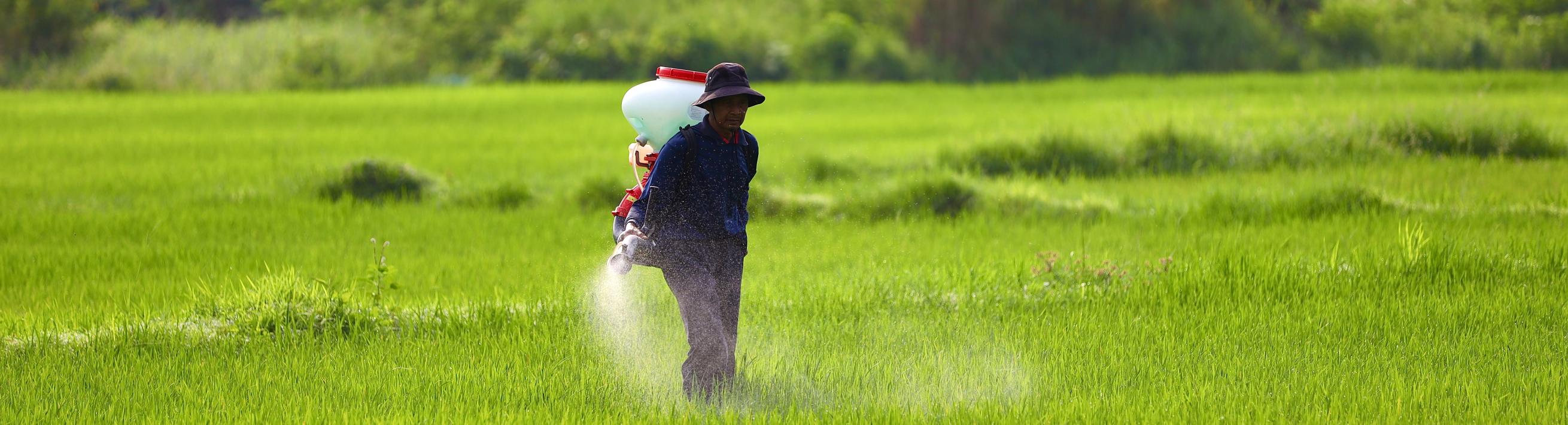 A person spraying grass with fertilizer