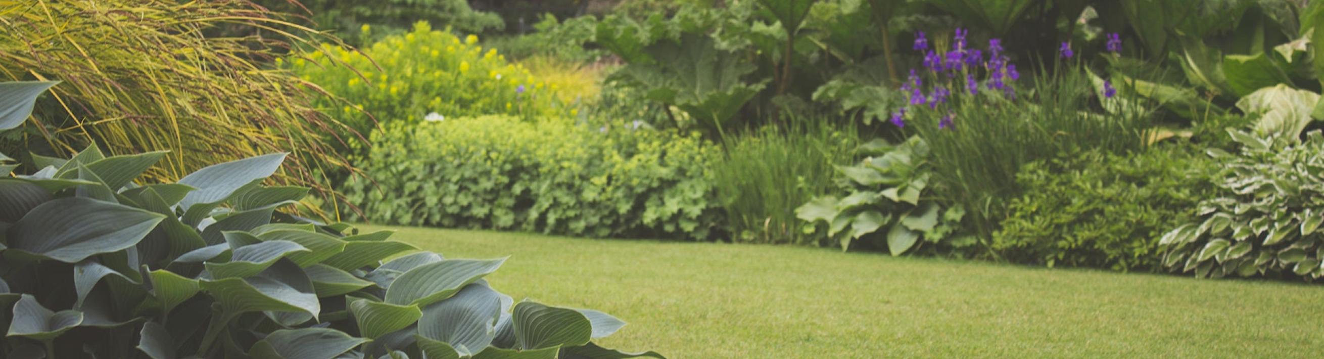 A lawn with grass, flowers, trees and shrubs.