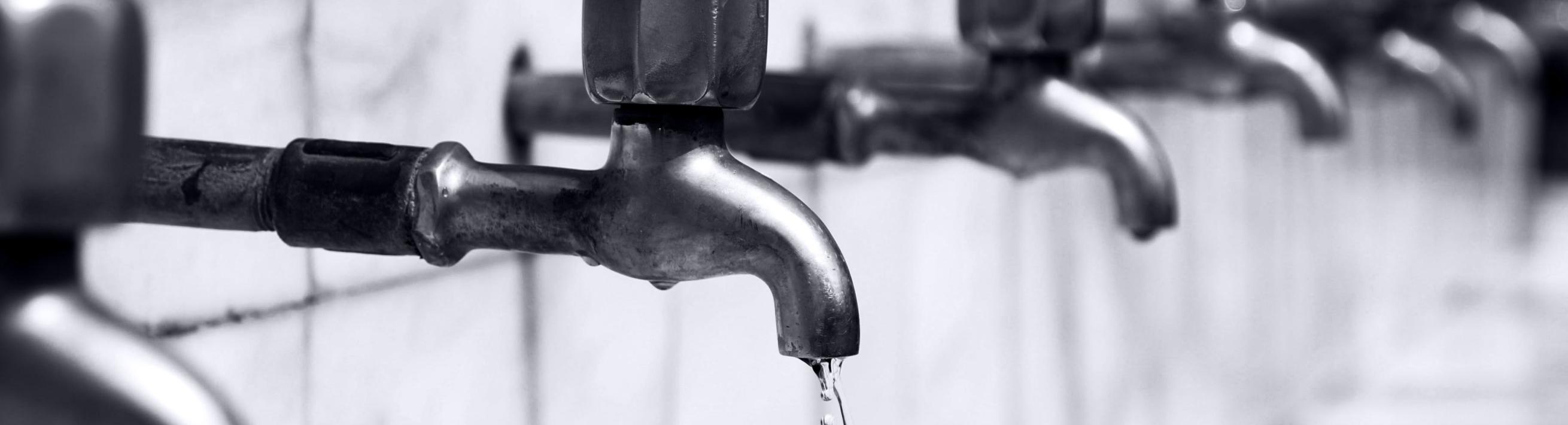 A row of faucets along a wall