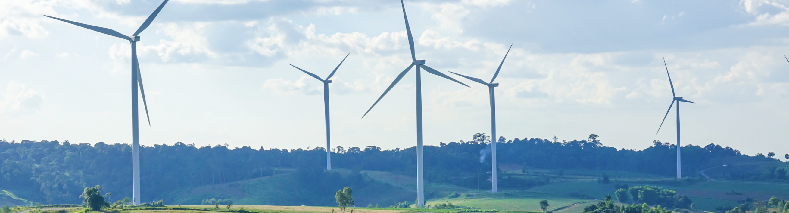 cropped windmills