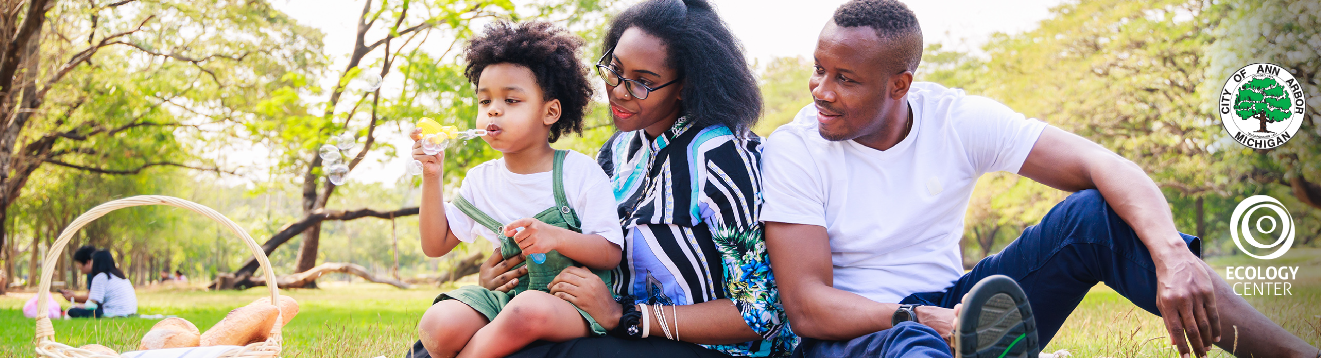 Family of 3 having a picnic at the park