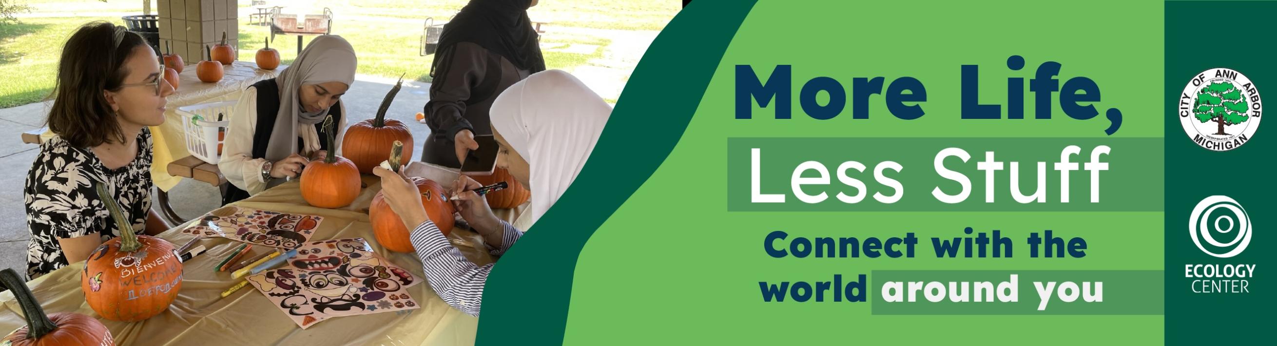 green banner for More Life, Less Stuff campaign