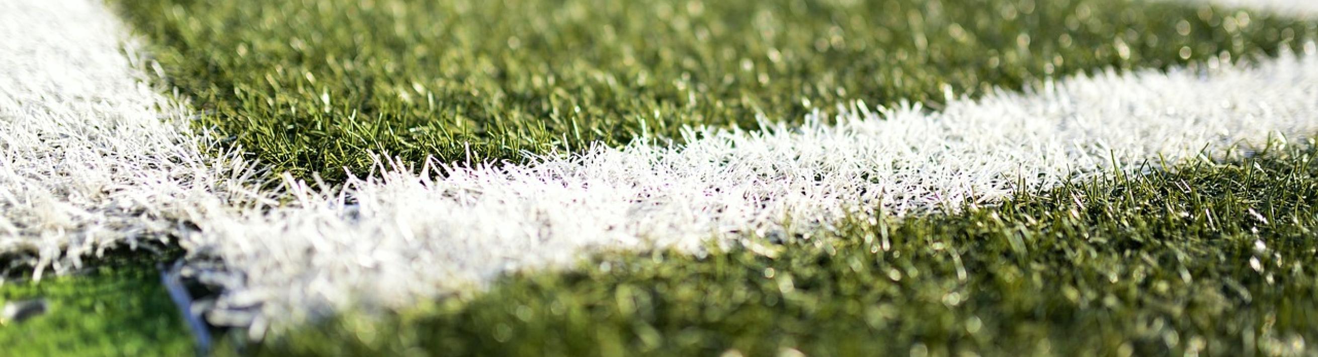 turf field