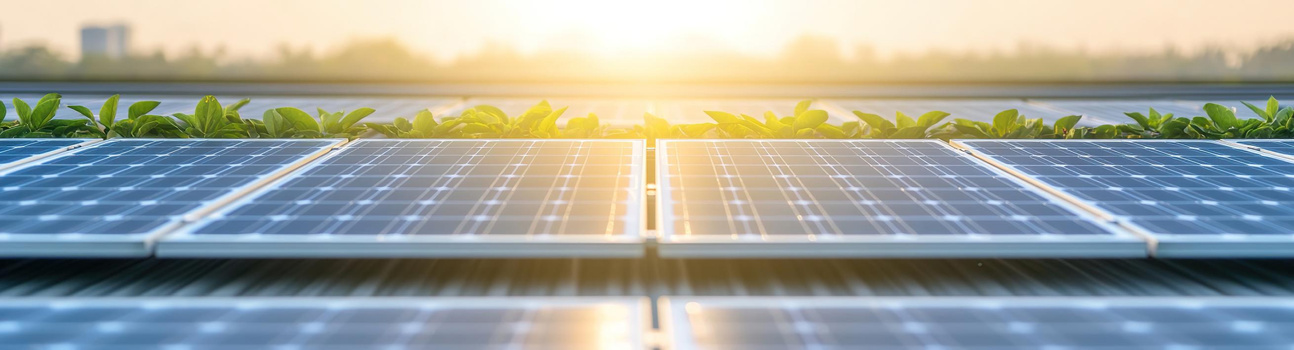 Clean Energy Revolution