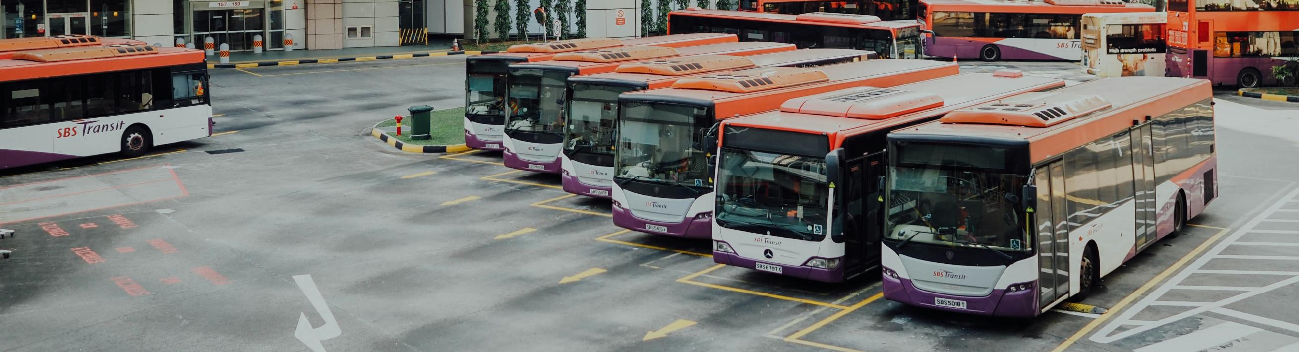 buses in lot cropped