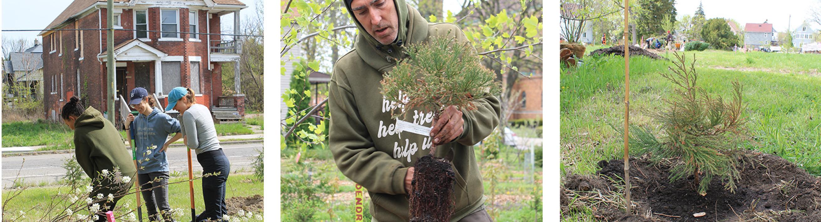 Clear the Air Tree Planting 2025 header