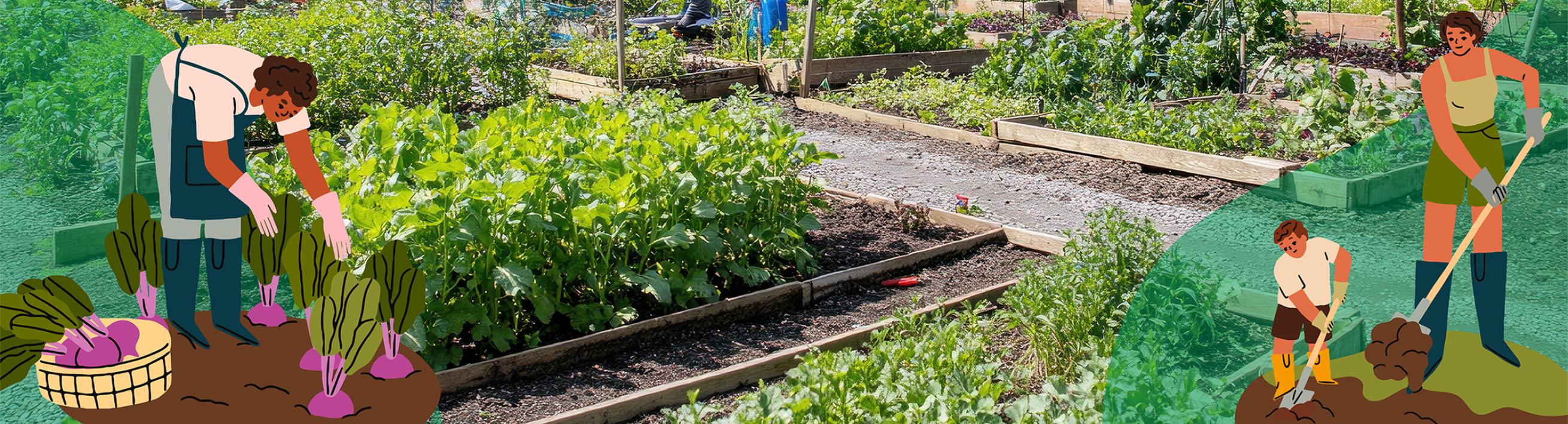 PFAS in Small Farms and Home Gardens