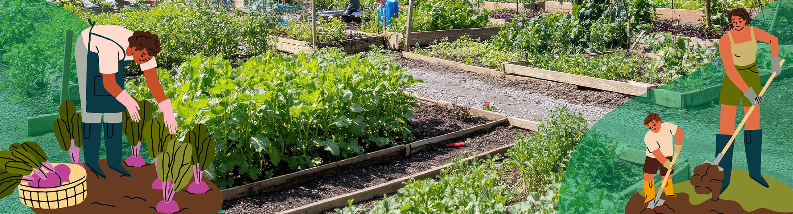 PFAS in Small Farms, Home Gardens