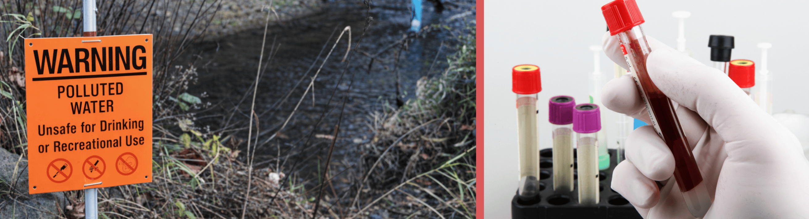 PFAS contamination / PFAS testing