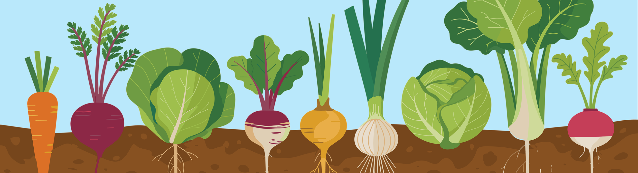 Plants growing - pfas uptake in food crops