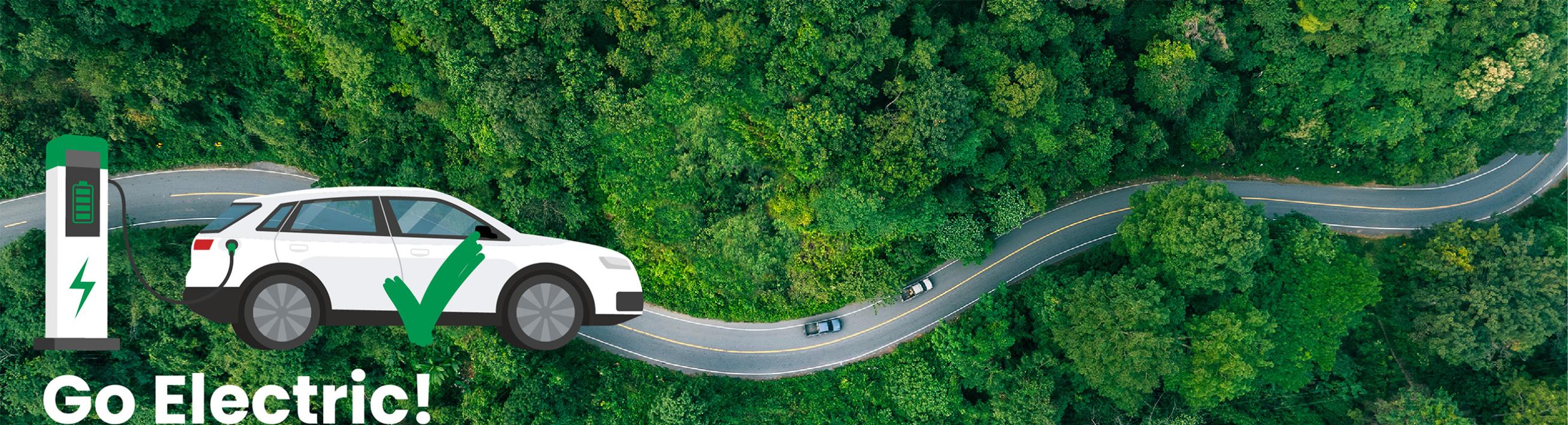 Image of winding road through forest  