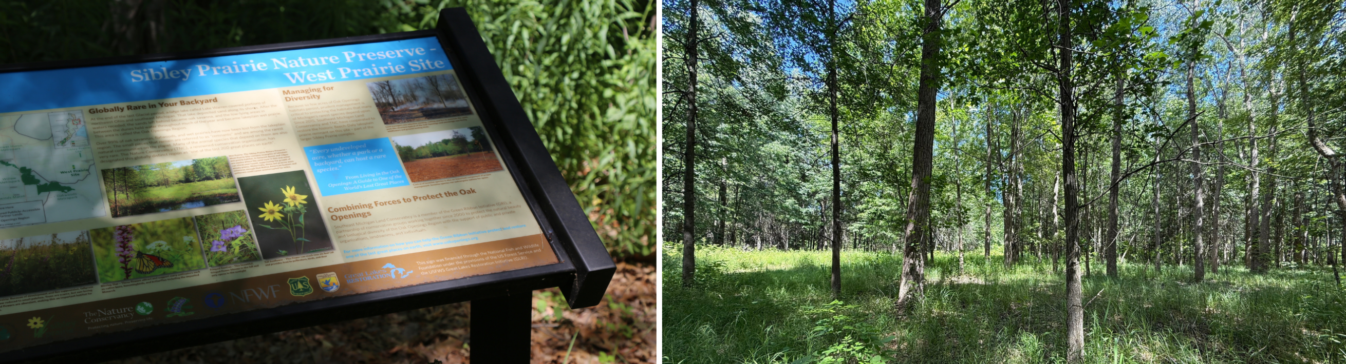Sibley Prairie: welcome sign and landscape