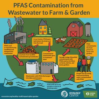 PFAS Contamination from Wastewater to Farm & Garden