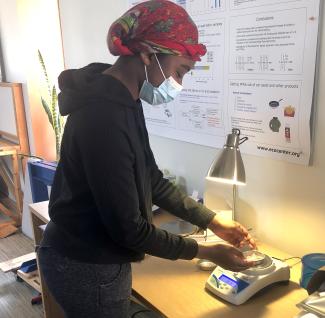 Fishing sampling in the lab