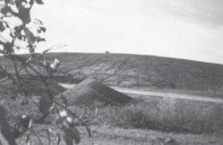 Central Wayne Incinerator - Ash Landfill