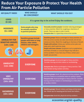 air quality index infographic