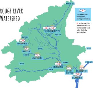 Rouge River Watershed