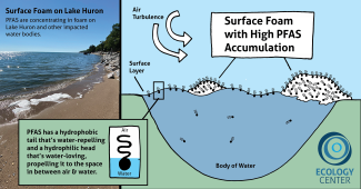 Graphic of pfas accumulating in surface water foam