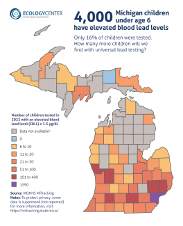 4000 Michigan Children under age 6 have elevated blood lead levels