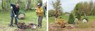 Tree planting AQAW