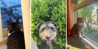 EC staffs’ live-in animal therapists providing restorative benefits while reminding us other ways to access nature