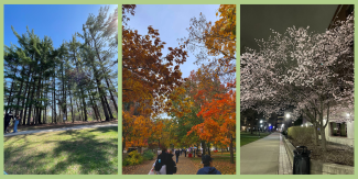 Images of Nature all around us