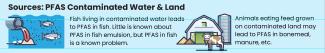 PFAS contaminated land and water contaminates fish and animals with PFAS too. 