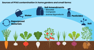 Sources of PFAS contamination in small farms and gardens: water, soil, repurposed materials, soil amendments and pesticides