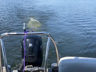 Sampling water for microplastics