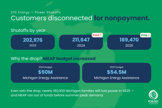 Customers disconnected for nonpayment; energy affordability & reliability MI