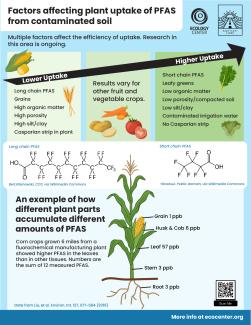 Chart listing factors affecting pfas uptake in plants