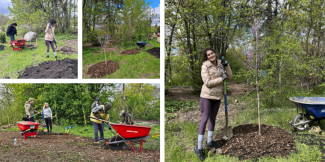 Air Quality Awareness Week 2026: Tree Planting 