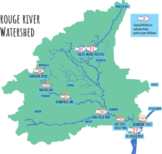 Map of Rouge River Watershed and fish with PFAS in ppb