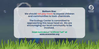 We should not pay more to expose children and communities to toxic chemicals. 