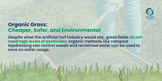 Organic Grass does not need pesticides
