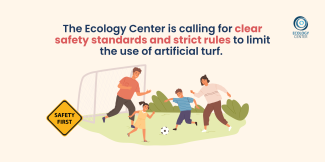 Ecology Center is calling for clear safety standards and rules about artificial turf