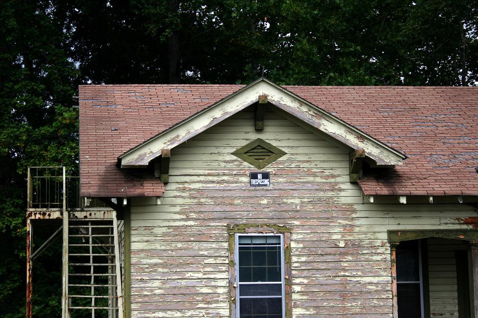 The Health Effects of Lead Ecology Center